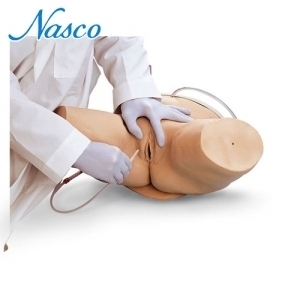 NASCO LF00856 여성도뇨 실습모형