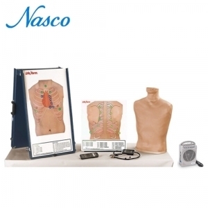 NASCO LF01200U(EX) 심폐음 청진실습모형